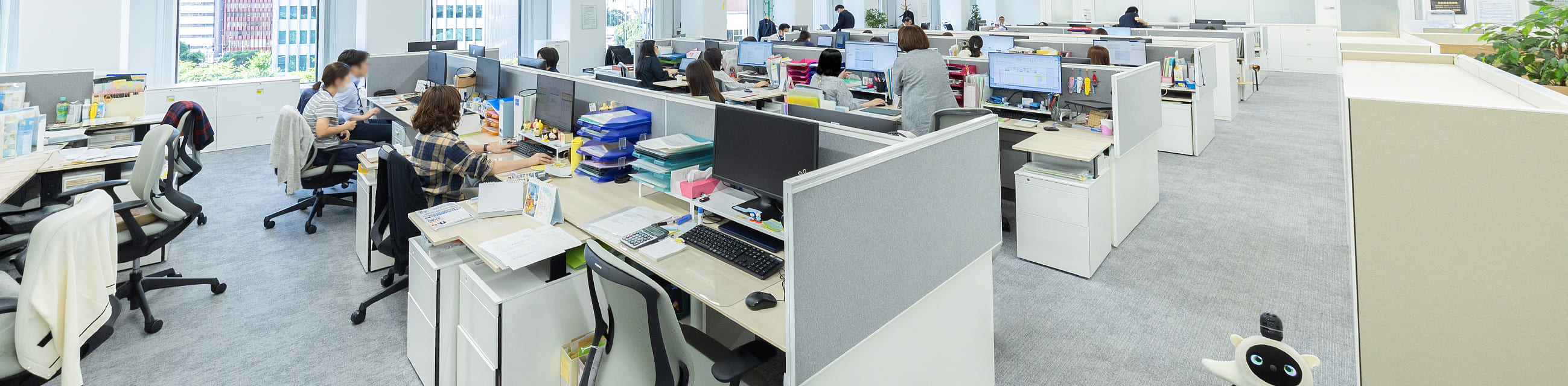 会社概要